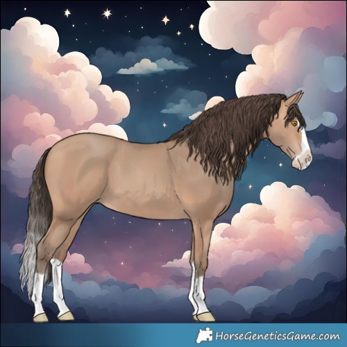 Horse Color:Amber Champagne Splash 