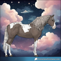 Horse Color:Silver Black Splash Tobiano 