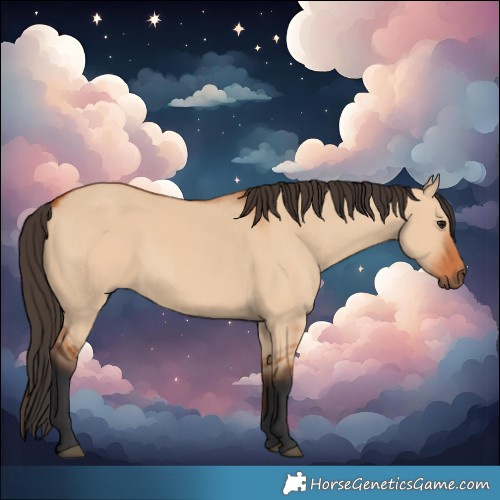 Horse Color:Bay Dun
