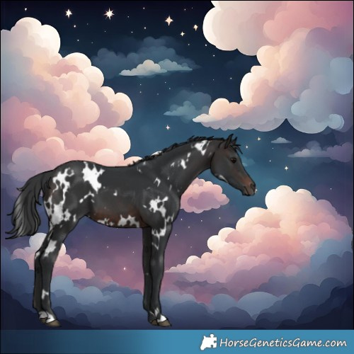 Horse Color:White Spotted Brown