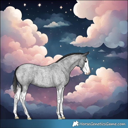 Horse Color:Blue Roan Splash 