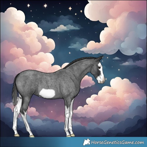 Horse Color:Blue Roan Splash Frame 