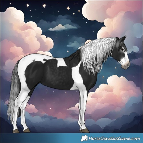 Horse Color:Gray Black Splash Tobiano 