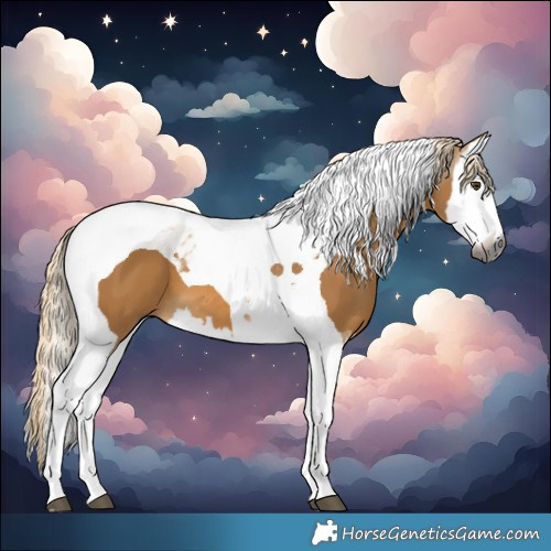 Horse Color:Gray Palomino Splash Tobiano 