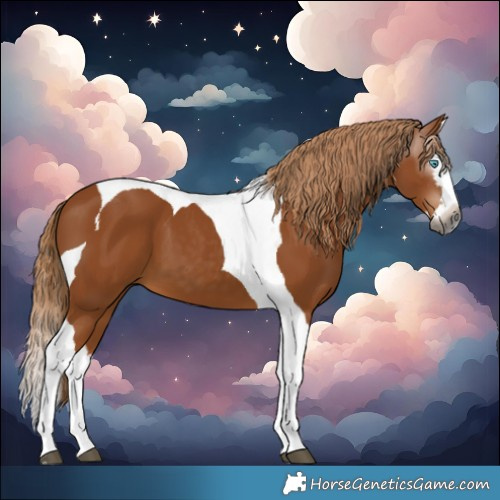 Horse Color:Gray Chestnut Splash Tobiano