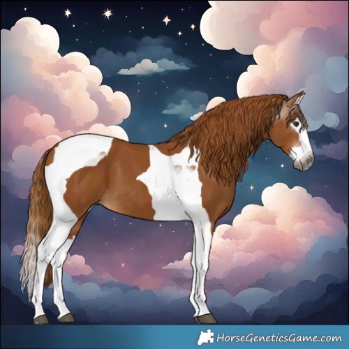 Horse Color:Gray Chestnut Splash Tobiano 