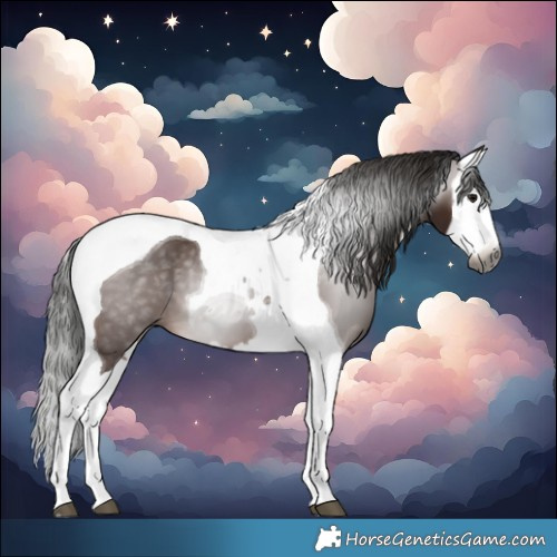 Horse Color:Gray Bay Splash Tobiano 