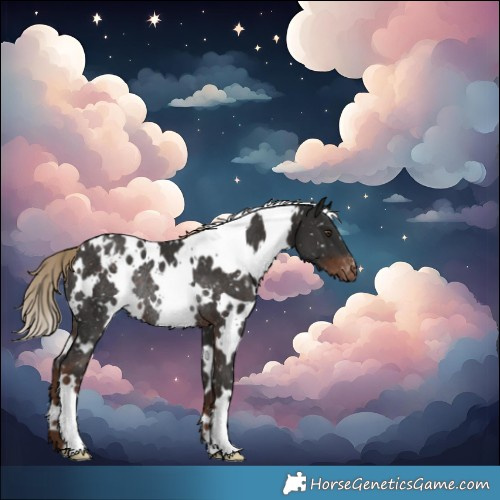 Horse Color:White Spotted Liver Chestnut Snowflake Varnish Rabicano