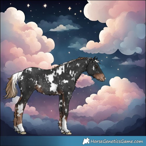 Horse Color:White Spotted Liver Chestnut Snowflake VarnishRabicano 