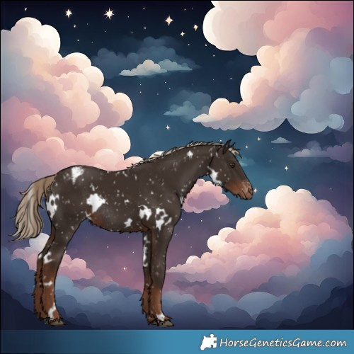 Horse Color:White Spotted Liver Chestnut Blanket Rabicano 
