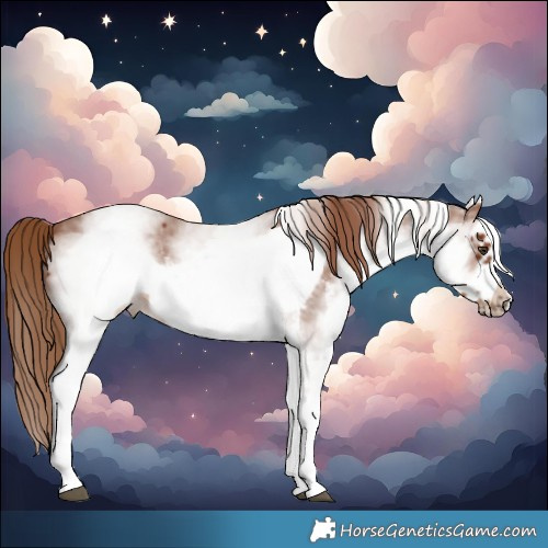 Horse Color:White Spotted Chestnut Sabino Frame 