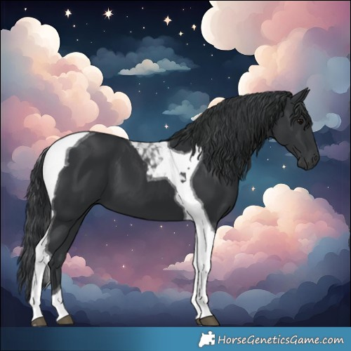Horse Color:Black Tobiano