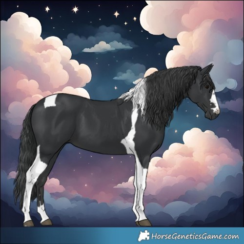Horse Color:Black Tobiano 
