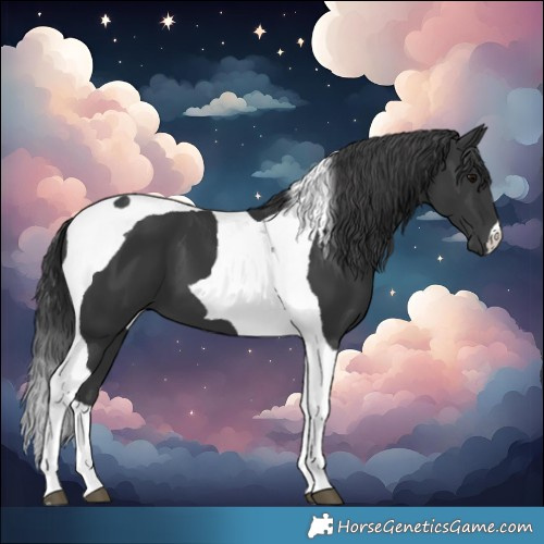 Horse Color:Black Tobiano