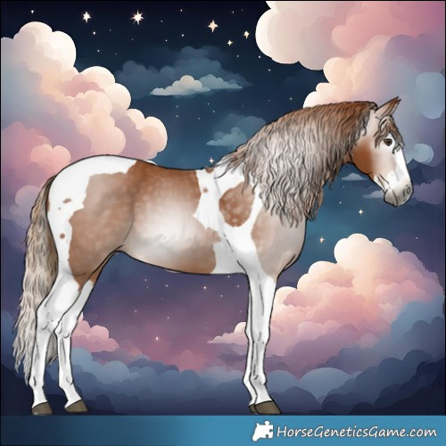 Horse Color:Gray Chestnut Splash Tobiano 