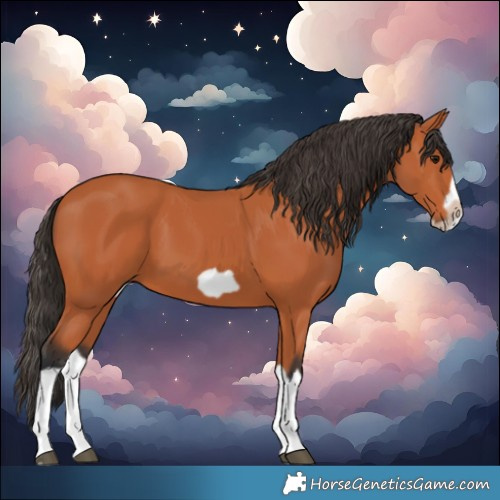 Horse Color:Bay Splash Frame 