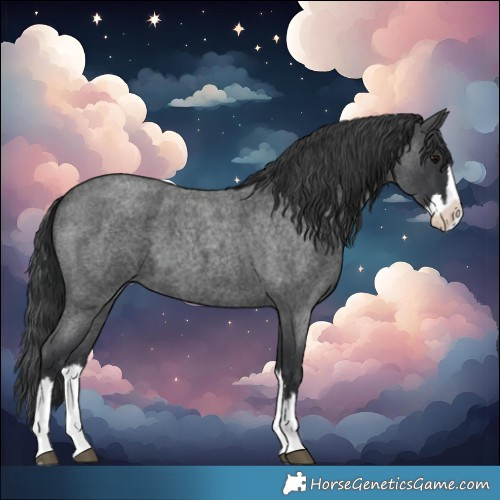 Horse Color:Blue Roan Splash