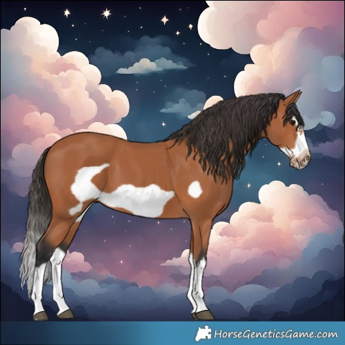 Horse Color:Bay Splash Frame 
