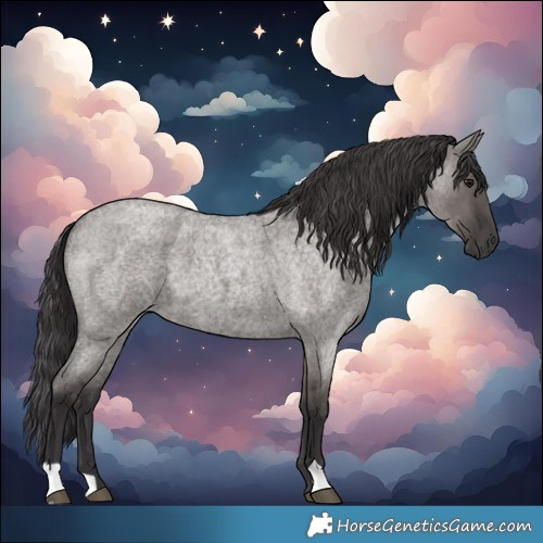Horse Color:Smoky Grullo Roan 