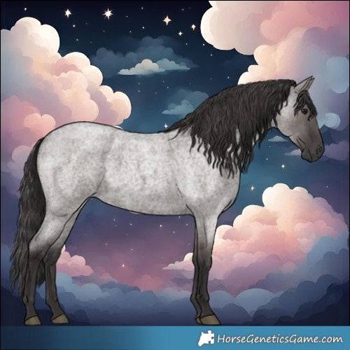 Horse Color:Smoky Grullo Roan
