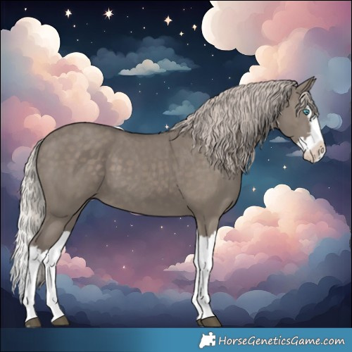 Horse Color:Silver Grullo Splash
