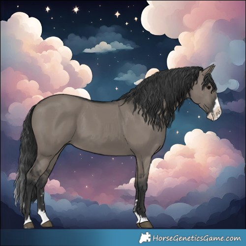Horse Color:Grullo Splash 