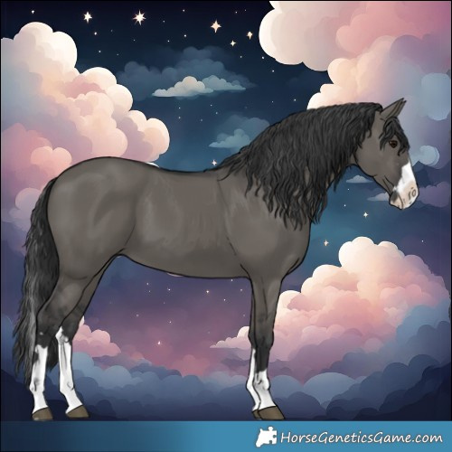 Horse Color:Grullo Splash 