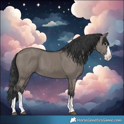 Horse Color:Grullo Splash