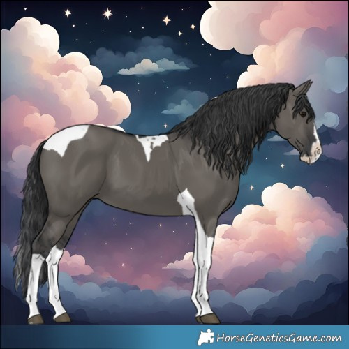 Horse Color:Grullo Splash Tobiano Rabicano