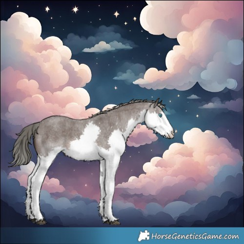 Horse Color:Liver Red Roan Mushroom Sabino Splash