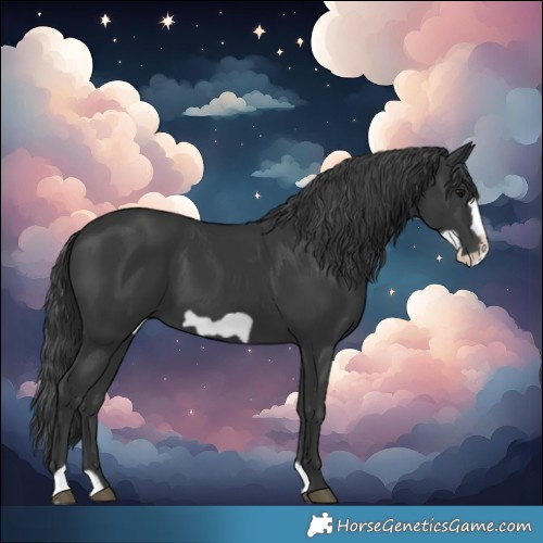 Horse Color:Black Frame