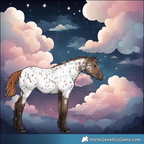 Horse Color:Liver Red Dun Near Leopard 