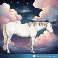 Horse Color:Buckskin Roan Pearl and Buckskin Roan Pearl Splash