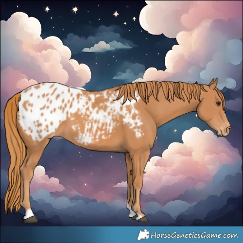 Horse Color:Chestnut Blanket
