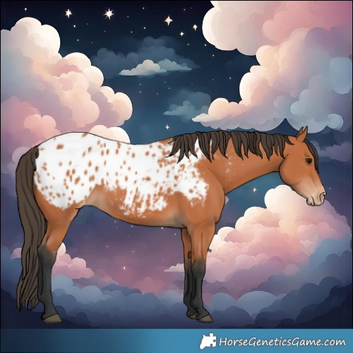 Horse Color:Bay Blanket 