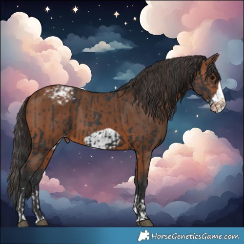 Horse Color:Black Varnish and Bay Frame Varnish