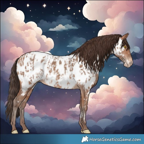 Horse Color:Amber Champagne Near Leopard and Amber Champagne Near Fewspot