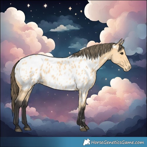 Horse Color:Buckskin Near Leopard  and Buckskin Near Leopard 