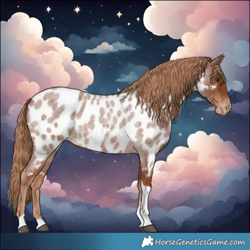 Horse Color:Red Roan Tobiano Near Leopard 