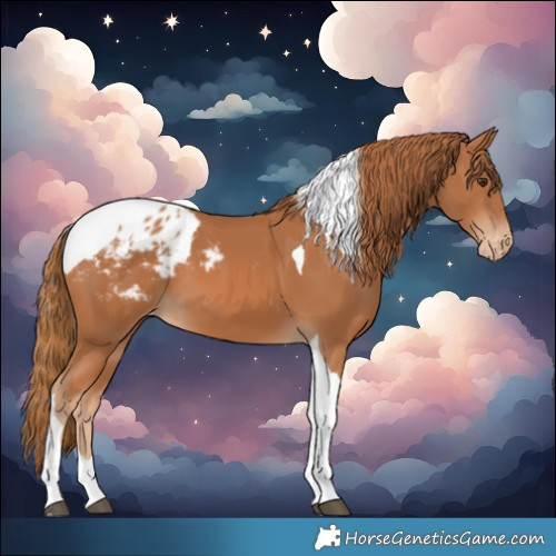 Horse Color:Chestnut Tobiano Blanket