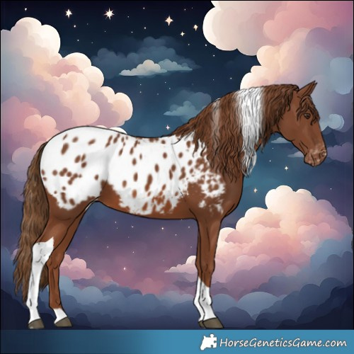 Horse Color:Chestnut Tobiano Blanket