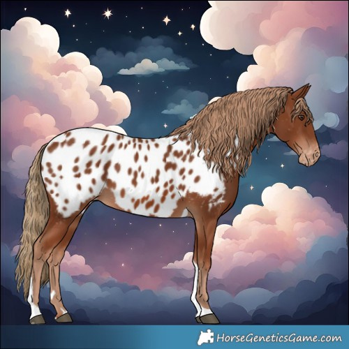 Horse Color:Chestnut Tobiano Near Leopard