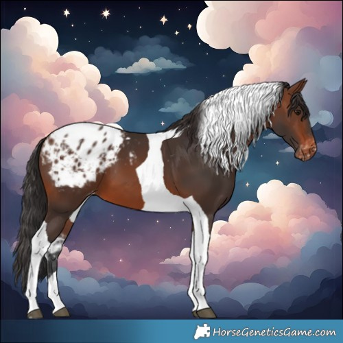 Horse Color:Brown Tobiano Blanket