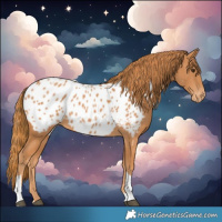 Horse Color:Chestnut Tobiano Near Leopard