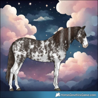 Horse Color:Liver Chestnut Sabino 