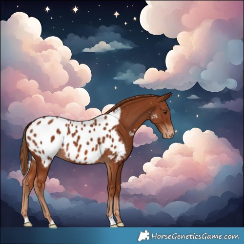 Horse Color:Chestnut Near Leopard