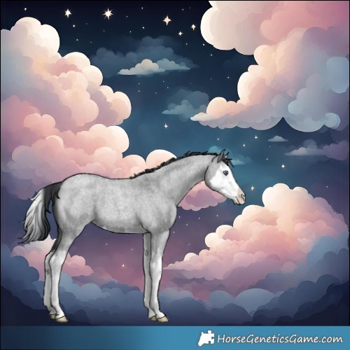 Horse Color:Grullo Chinchilla Roan Splash 