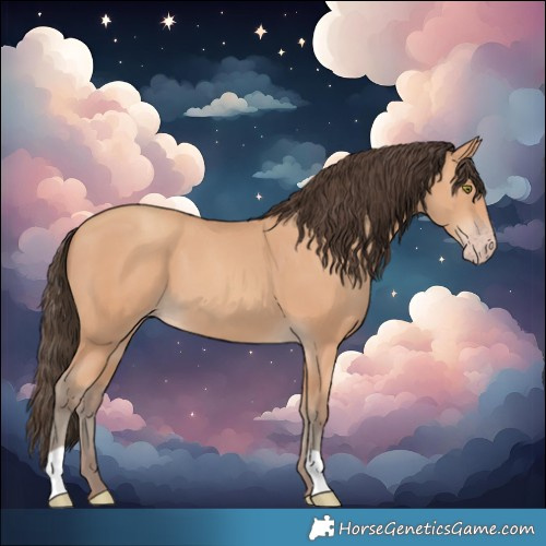 Horse Color:Amber Champagne