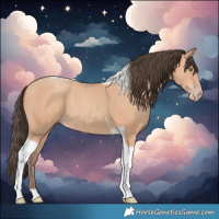 Horse Color:Amber Champagne Tobiano 