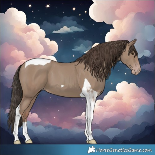Horse Color:Classic Champagne Tobiano 